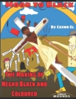 Moor to Black : The Making of Negro, Black and Coloured - Book