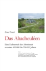 Das Altacheuleen : Eine Kulturstufe der Altsteinzeit vor etwa 600.000 bis 350.000 Jahren - Book