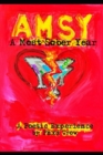 Amsy : A Most Sober Year - Book