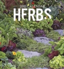 Herbs 2025 Wall Calendar - Book