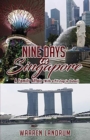Nine Days in Singapore : A Family Affair (With a Pitstop in Dubai) - Book