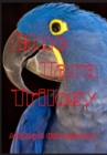 Blue Tara Trilogy : Princess Tara Chronicles - Book