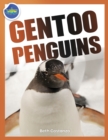 Gentoo Penguins activity workbook ages 4-8 - Book
