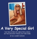 A Very Special Girl : The True Story of a Beautiful Irish Setter Dog Who Twice Lost Her Home - Book