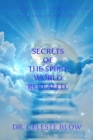Secrets of the Spirit World Revealed : Angels, Demons & Spiritual Warfare in Pictures - eBook