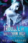 Trouble at Brayshaw High - Book