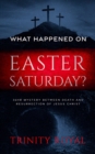 What Happened on Easter Saturday?. 36 hrs Mystery between Death and Resurrection of Jesus Christ - eBook