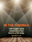 In the Findings - Book