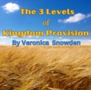 The 3 Levels of Kingdom Provision : Discover How God Provides For His Children Regardless of Income, Education or Background - eBook