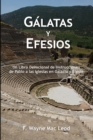 Galatas y Efesios : Un Libro Devocional de Instrucciones de Pablo a las Iglesias en Galacia y Efeso - Book