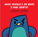 What should I do when I feel angry? - Book