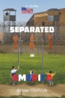 Separated in America : A Foster Child's Life - eBook