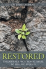 Restored : The Journey from Sexual Abuse to Healing in Jesus - Book