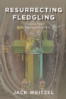 Resurrecting Fledgling : The Lazarus Project In the Shadow of San Petra - eBook