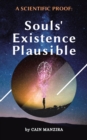 A Scientific Proof : Souls' Existence Plausible - eBook