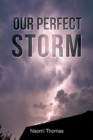 Our Perfect Storm - Book