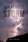 Our Perfect Storm - eBook