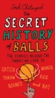 Secret History of Balls - eBook