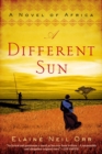 Different Sun - eBook
