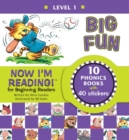 Now I'm Reading! Level 1 Big Fun - Book