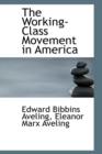 The Working-Class Movement in America - Book