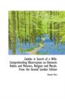 C Lebs in Search of a Wife : Comprehending Observations on Domestic Habits and Manners, Religion and - Book