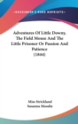 Adventures Of Little Downy, The Field Mouse And The Little Prisoner Or Passion And Patience (1844) - Book