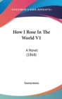 How I Rose In The World V1 : A Novel (1868) - Book