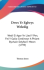 Drws Yr Eglwys Weledig : Wedi Ei Agor Yn Lled Y Pen, Fel Y Gallo Credinwyr A Phlant Bychain Ddyfod I Mewn (1799) - Book