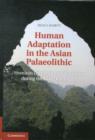 Human Adaptation in the Asian Palaeolithic : Hominin Dispersal and Behaviour During the Late Quaternary - Book