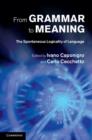 From Grammar to Meaning : The Spontaneous Logicality of Language - Book