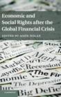 Economic and Social Rights after the Global Financial Crisis - Book
