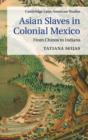 Asian Slaves in Colonial Mexico : From Chinos to Indians - Book