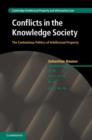 Conflicts in the Knowledge Society : The Contentious Politics of Intellectual Property - eBook