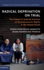 Radical Deprivation on Trial : The Impact of Judicial Activism on Socioeconomic Rights in the Global South - Book