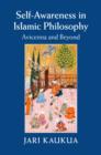 Self-Awareness in Islamic Philosophy : Avicenna and Beyond - Book
