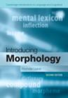 Introducing Morphology - Book
