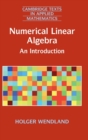 Numerical Linear Algebra : An Introduction - Book
