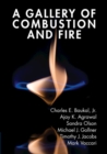 A Gallery of Combustion and Fire - Book