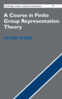 A Course in Finite Group Representation Theory - Book