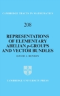 Representations of Elementary Abelian p-Groups and Vector Bundles - Book