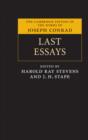 Last Essays - eBook