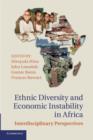 Ethnic Diversity and Economic Instability in Africa : Interdisciplinary Perspectives - Book