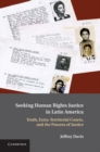 Seeking Human Rights Justice in Latin America : Truth, Extra-Territorial Courts, and the Process of Justice - eBook