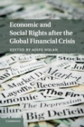 Economic and Social Rights after the Global Financial Crisis - Book