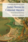 Asian Slaves in Colonial Mexico : From Chinos to Indians - Book