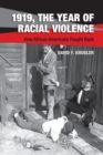 1919, The Year of Racial Violence : How African Americans Fought Back - Book