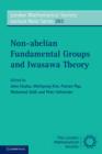 Non-abelian Fundamental Groups and Iwasawa Theory - Book