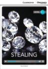 Stealing High Beginning Book with Online Access - Book