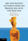 Art and Society in Cyprus from the Bronze Age into the Iron Age - Book